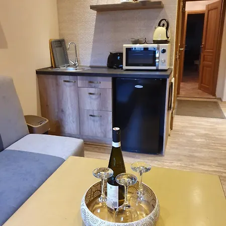 Alloggio in famiglia Labsky Dvur *