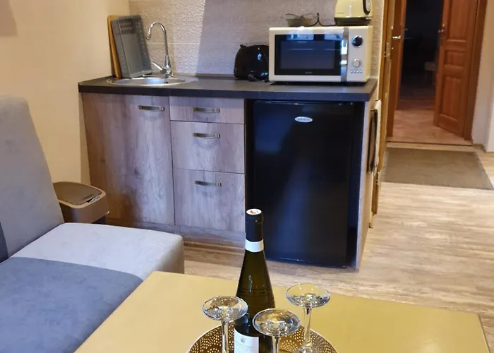 Accommodatie bij particulieren Labsky Dvur *